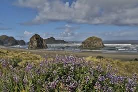 Cape Sebastian State Scenic Corridor