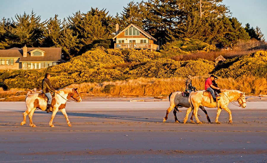 oregon beach horses